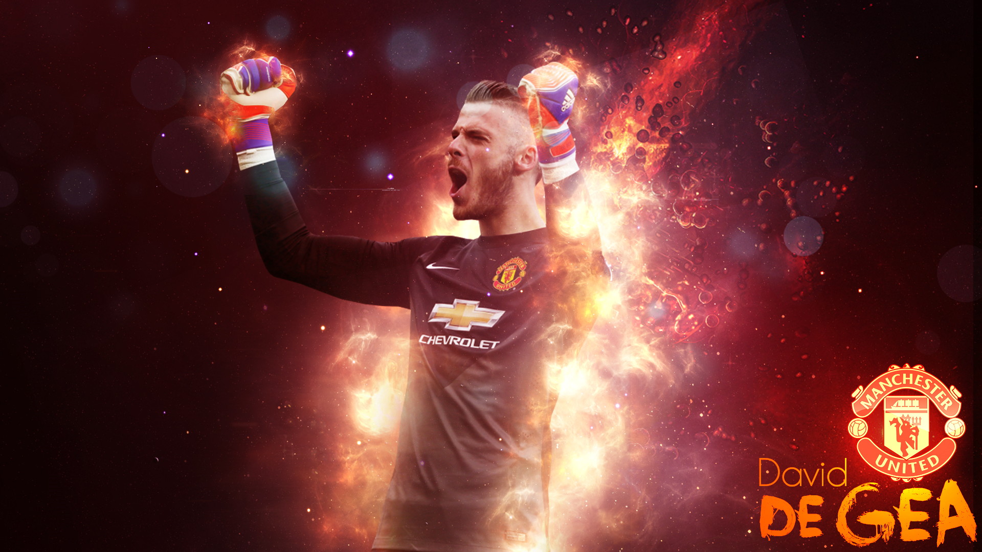 Ảnh de gea