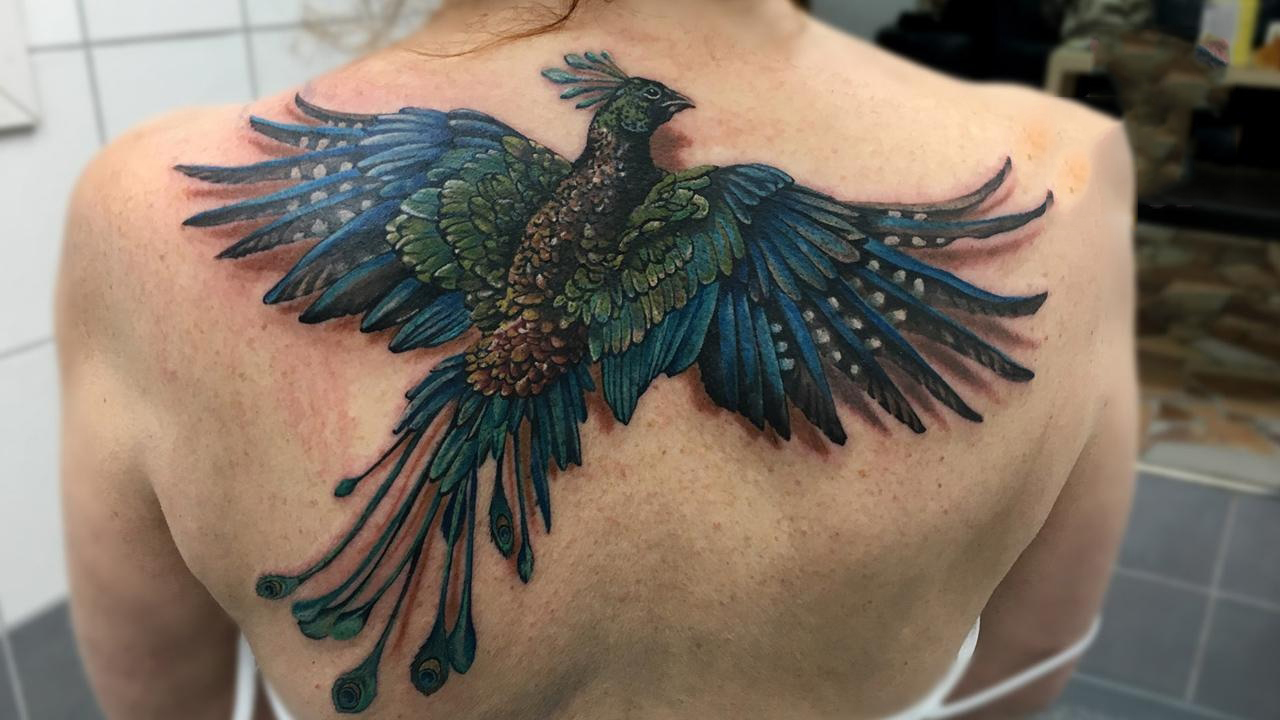 50+ Hình xăm phượng hoàng lửa đẹp nhất - Thủ Thuật Phần Mềm