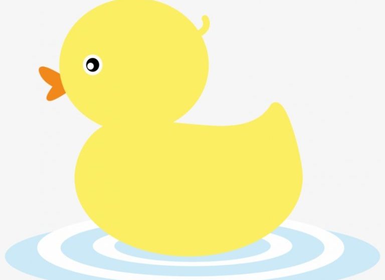 Sưu Tầm 25 Ảnh Con Vịt Cute Đáng Yêu Nhất