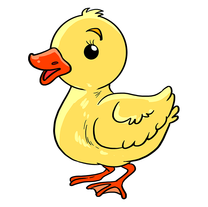 suu-tam-25-anh-con-vit-cute-dang-yeu-nhat-14