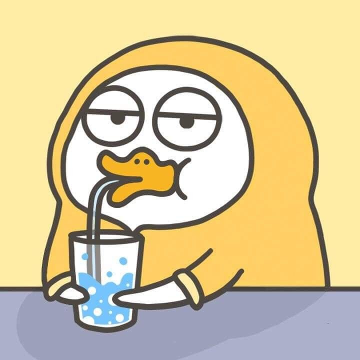 suu-tam-25-anh-con-vit-cute-dang-yeu-nhat-18