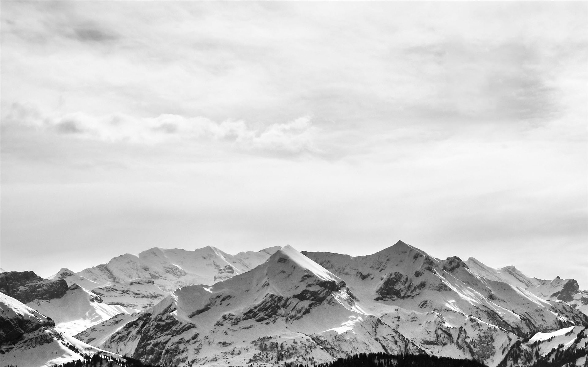 Hình nền đen trắng 4k