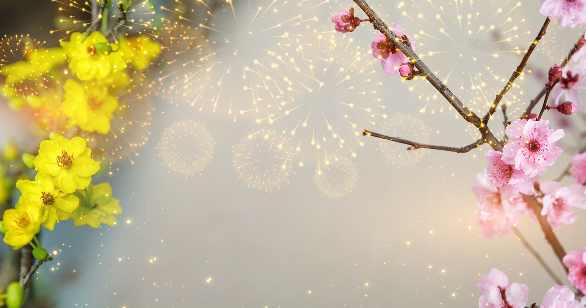 Hình nền tết cho máy tính