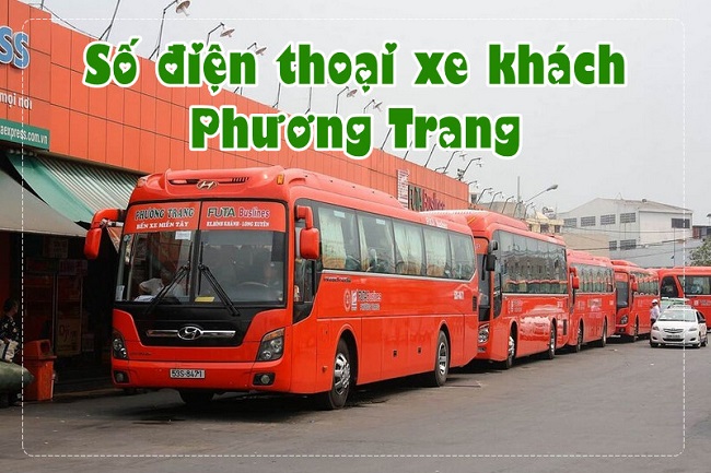  Cập nhất số điện thoại xe Phương Trang các tỉnh mới nhất