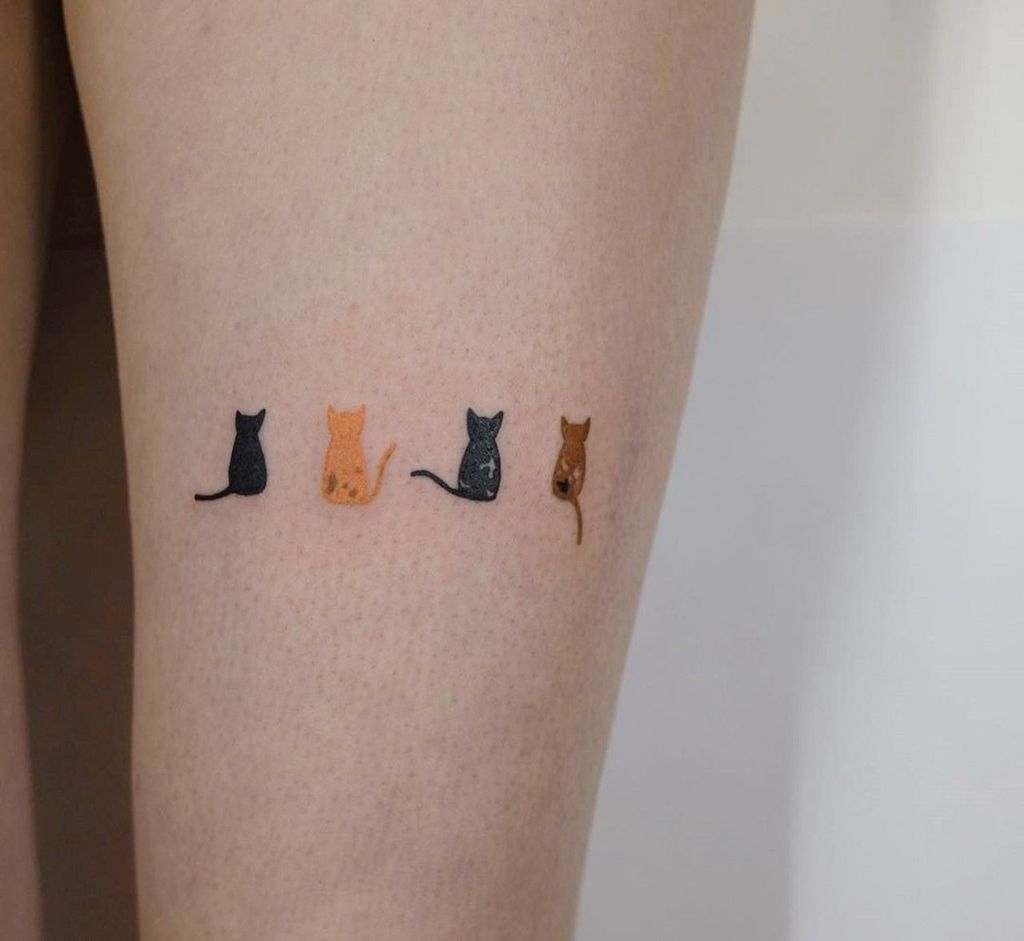 Bé mèo Luna của anh  Tattoo Gà Xăm Nghệ Thuật Gò Vấp  Facebook