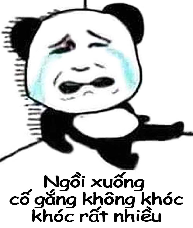 Chia-se-25-meme-khoc-khien-ban-phai-roi-nuoc-mat_1