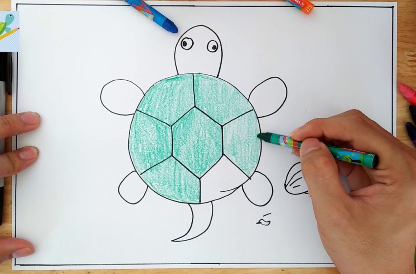  Lưu Ngay 25+ Hình Vẽ Con Rùa Cute, Đáng Yêu Nhất, Cực Kỳ Dễ Vẽ