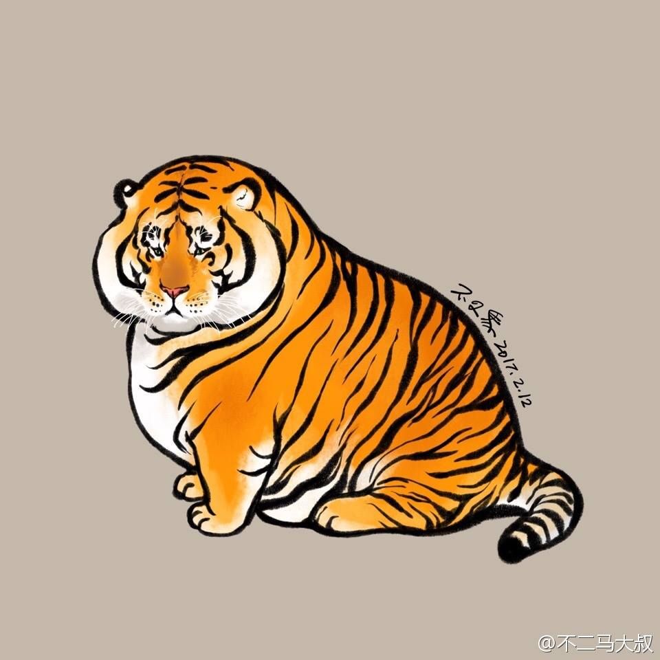 Hình ảnh hình nền con hổ đẹp nhất  VFOVN