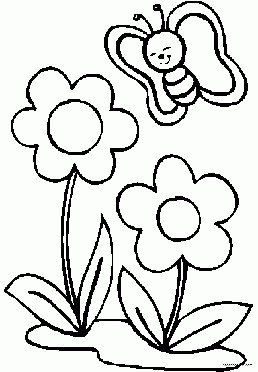 hình vẽ bông hoa