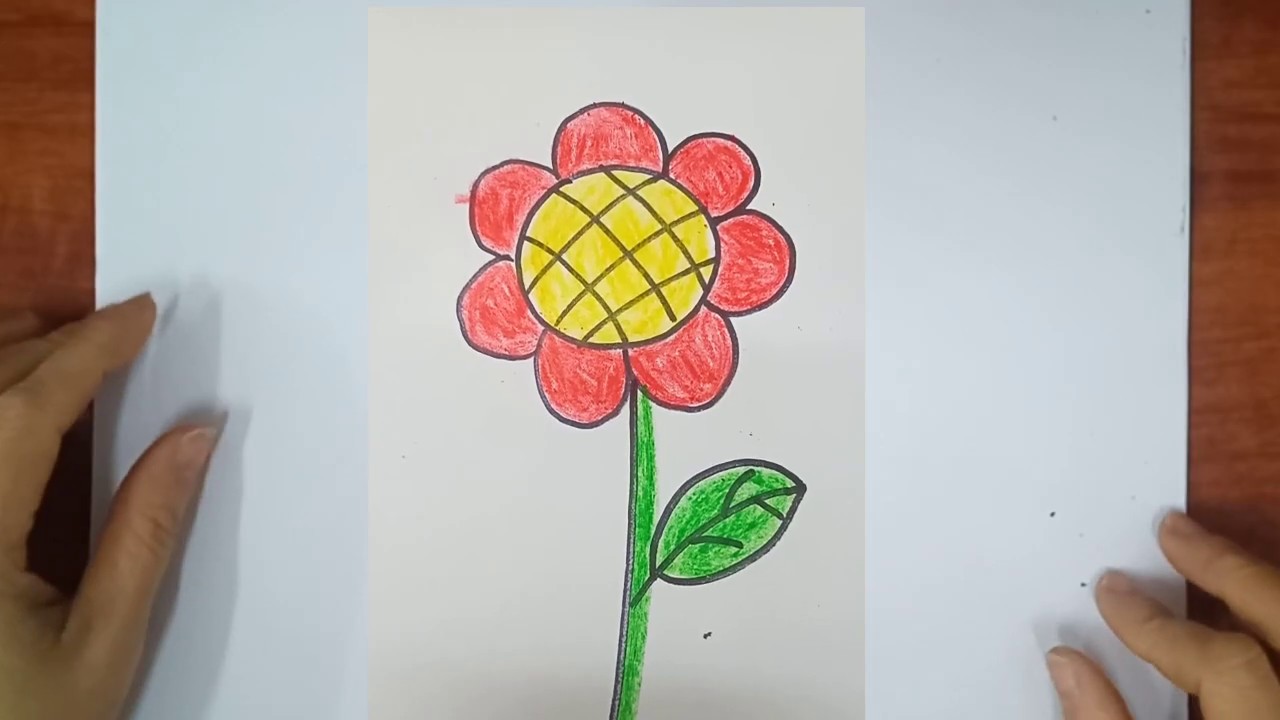 hình vẽ bông hoa
