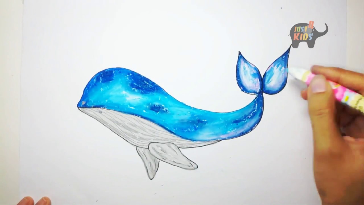 Cách vẽ một con cá đẹp Đủ 101 hình vẽ cá biến hoá đủ hình dáng màu sắc   Kênh Văn Hay
