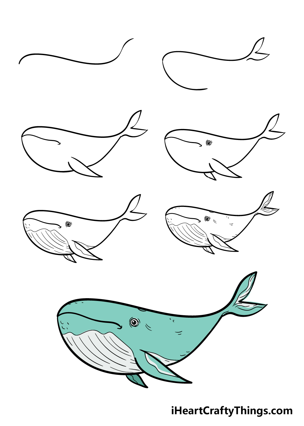 hình vẽ cá voi
