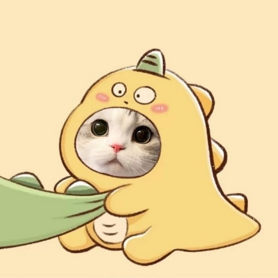 Avatar mèo cute anime
