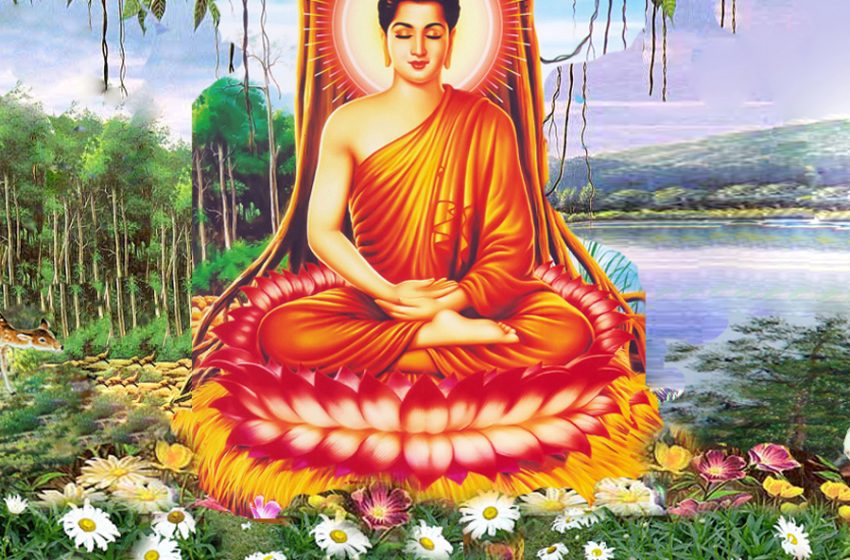  25+ Hình Ảnh Phật Giáo Đẹp, Ấn Tượng Nhất Không Thể Bỏ Qua