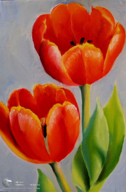 hình vẽ hoa tulip