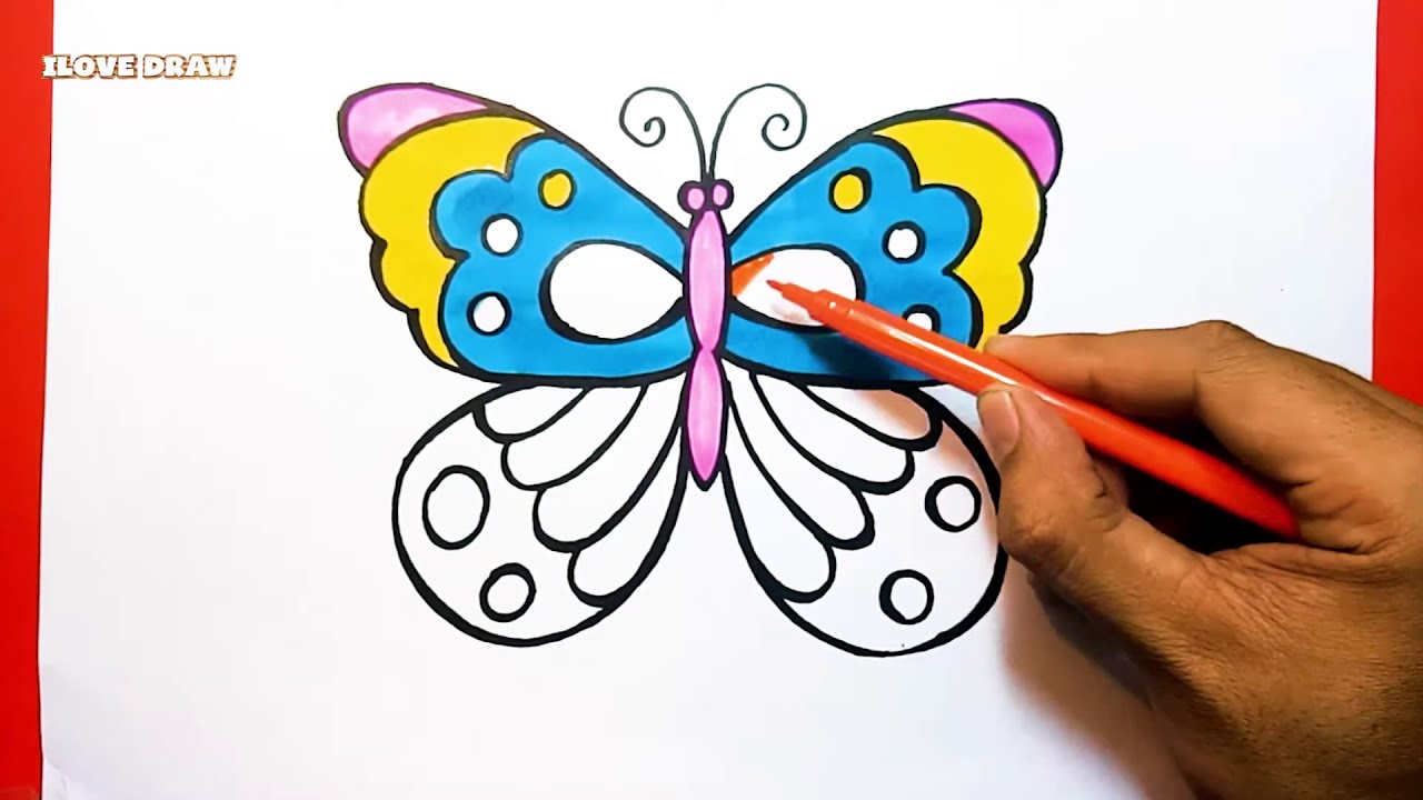 hình vẽ bướm