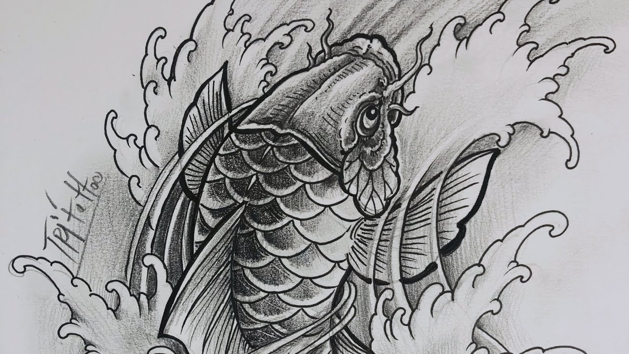 hình vẽ cá chép
