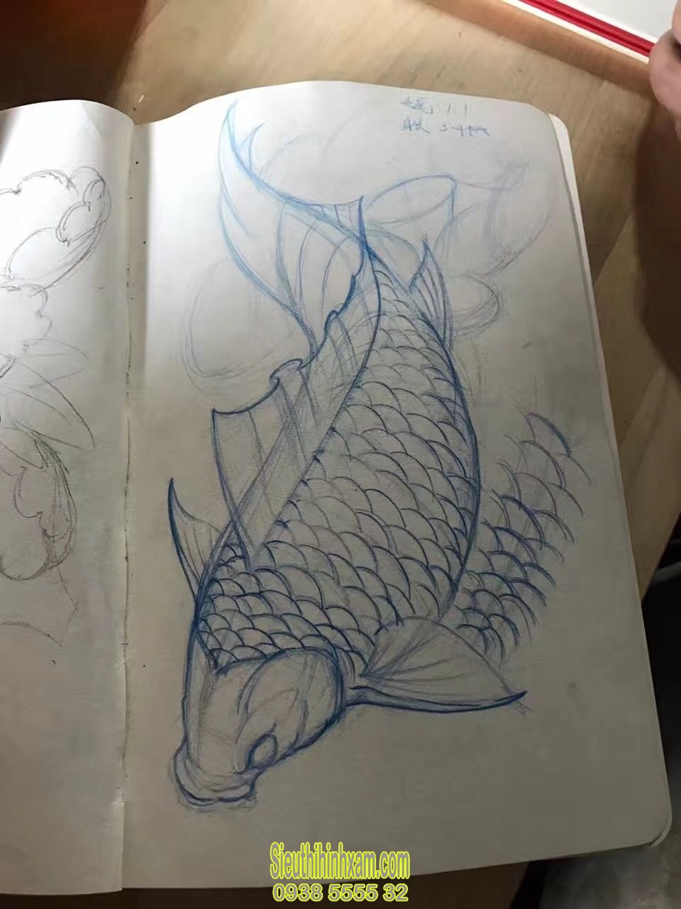 Hình Vẽ Cá Chép Cách Vẽ Cá Chép Đơn Giản Mà Đẹp Nhất