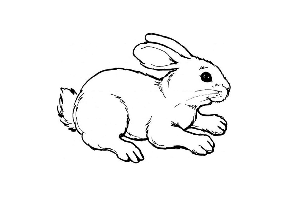 Bí quyết vẽ con thỏ vẽ con thỏ để có bức tranh đáng yêu