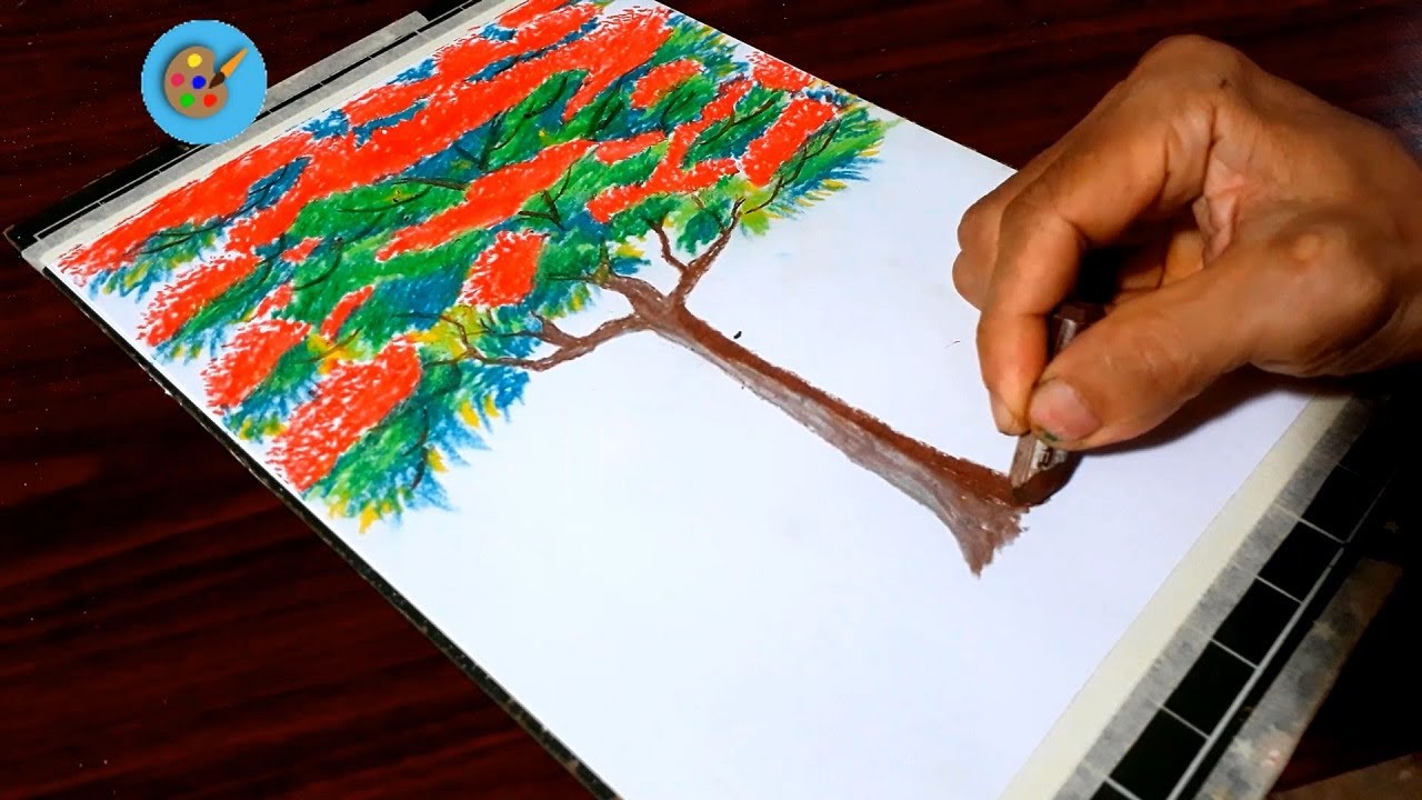 Hình ảnh Minh Họa Cây Phượng Vỹ Cây Hoa Phượng PNG  Cây Poinciana Hoàng  Gia Phượng Hoàng Hoa Hoa Krisnocura PNG và Vector với nền trong suốt để  tải xuống miễn