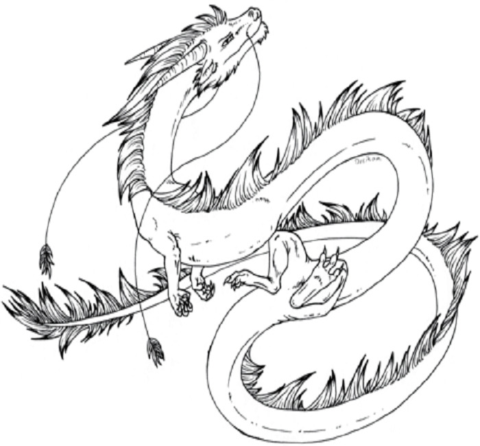 Vẽ con Rồng  Vẽ rồng  Cách vẽ hình rồng  How to Drawing a Dragon   YouTube