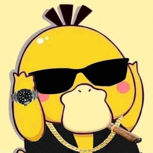 chia se 25 hinh anh avatar vit vang dang yeu 1 1