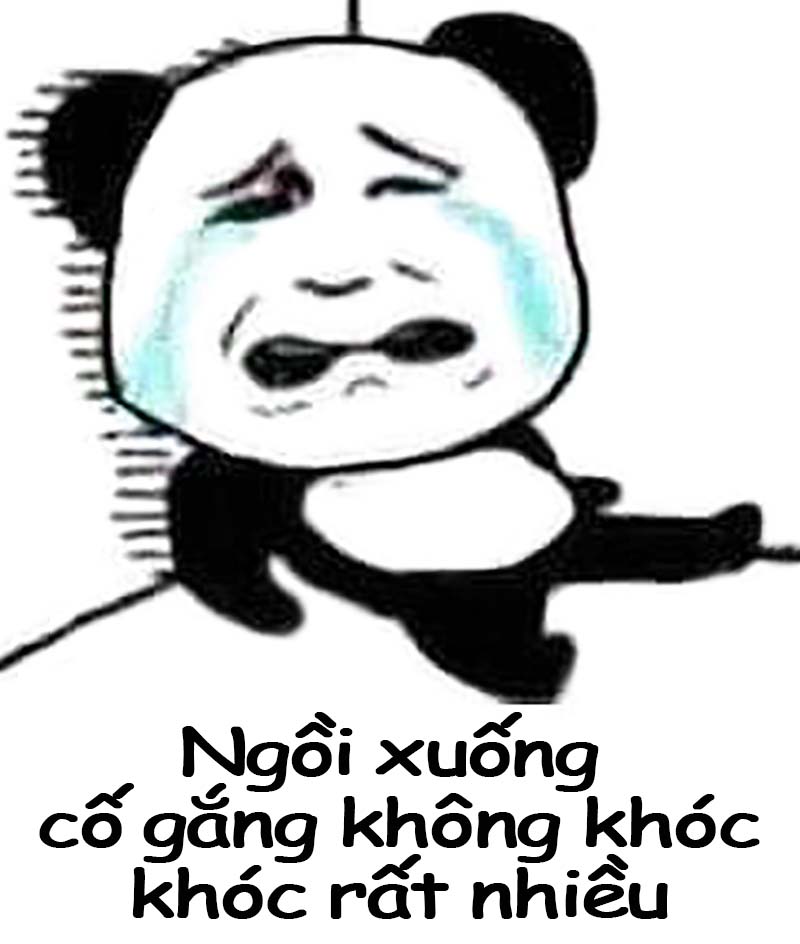 chia se 25 meme khoc khien ban phai roi nuoc mat 1 1