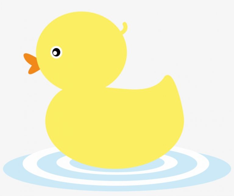 suu tam 25 anh con vit cute dang yeu nhat 1 1