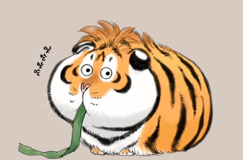 suu-tam-25-anh-ho-cute-dang-yeu_1-850x560-1 Sưu Tầm 25+ Hình Ảnh Hổ Cute Đáng Yêu, Dễ Thương Làm Hình Nền