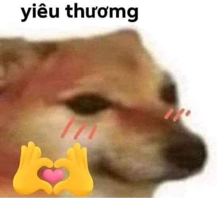 suu-tam-25-meme-trai-tim-hai-huoc-vui-nhon_1 Ảnh meme trái tim