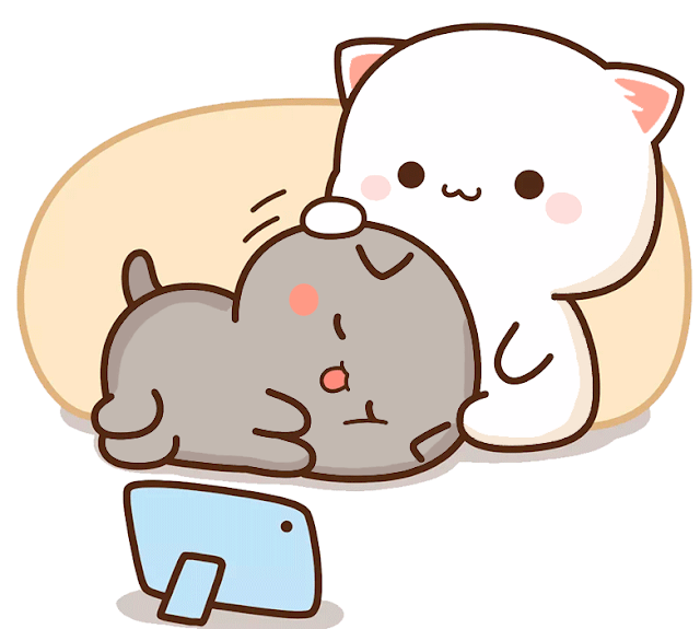 tong hop 25 hinh anh avatar meo cute cho instagram va facebook 1 1