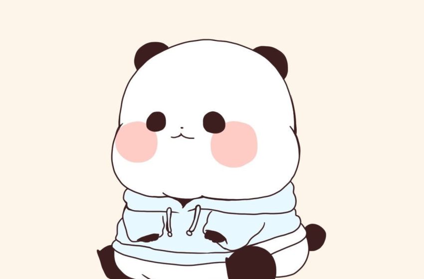 tong-hop-25-hinh-anh-gau-cute-dang-yeu_1-850x560-1 Tổng Hợp 25 Hình Ảnh Gấu Cute Đáng Yêu